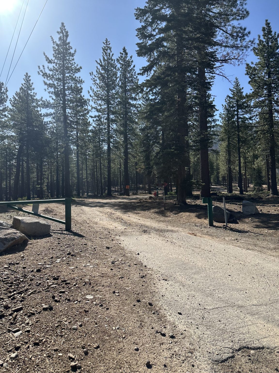 10 Best Lake Tahoe Hikes For Families Planning Away