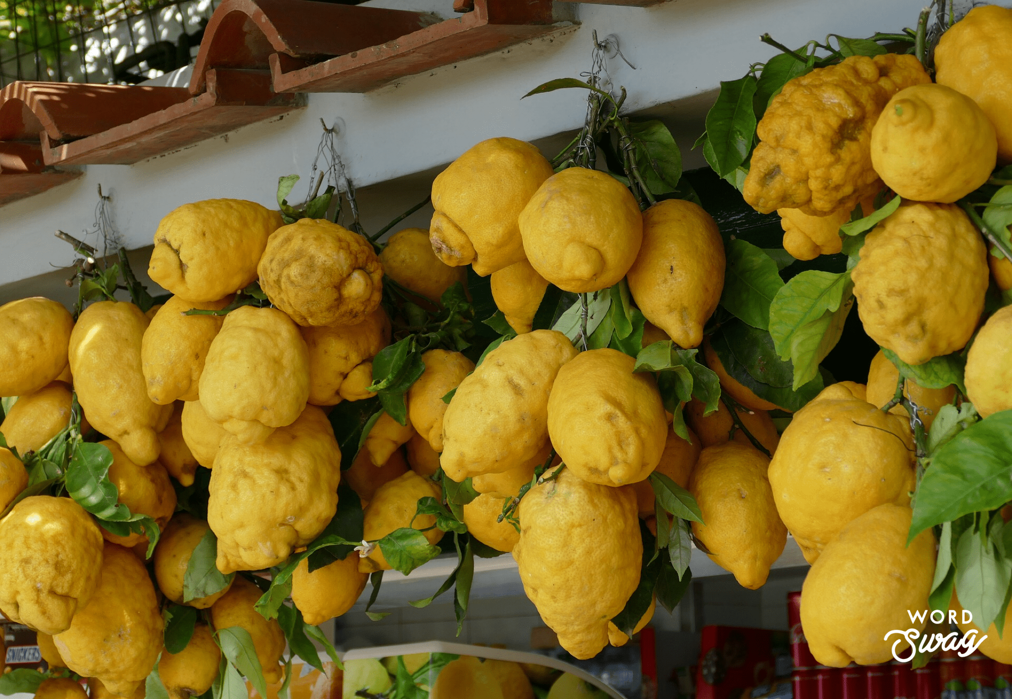 Lemons of Capri Italy