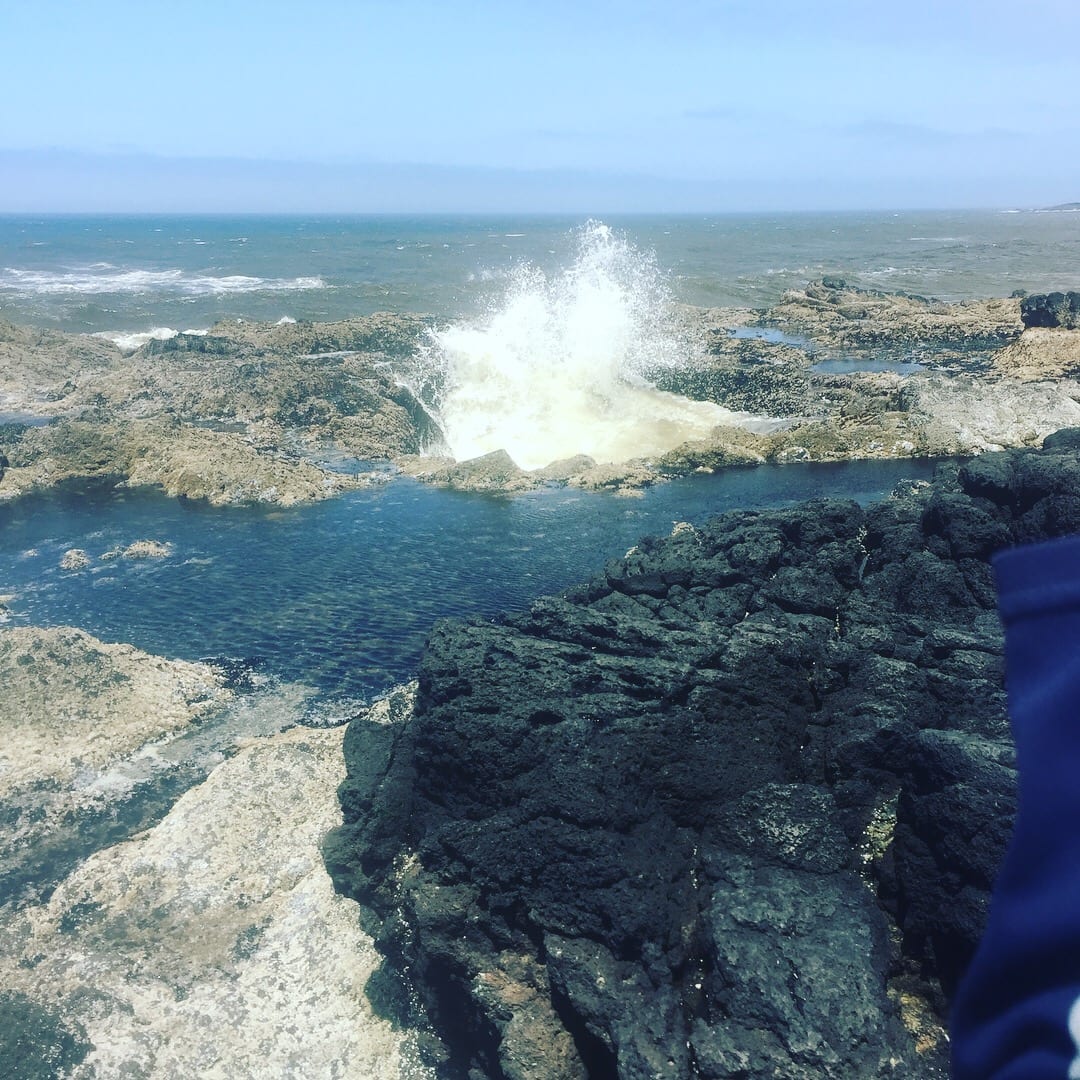 Cape Perpetura Oregon Coast