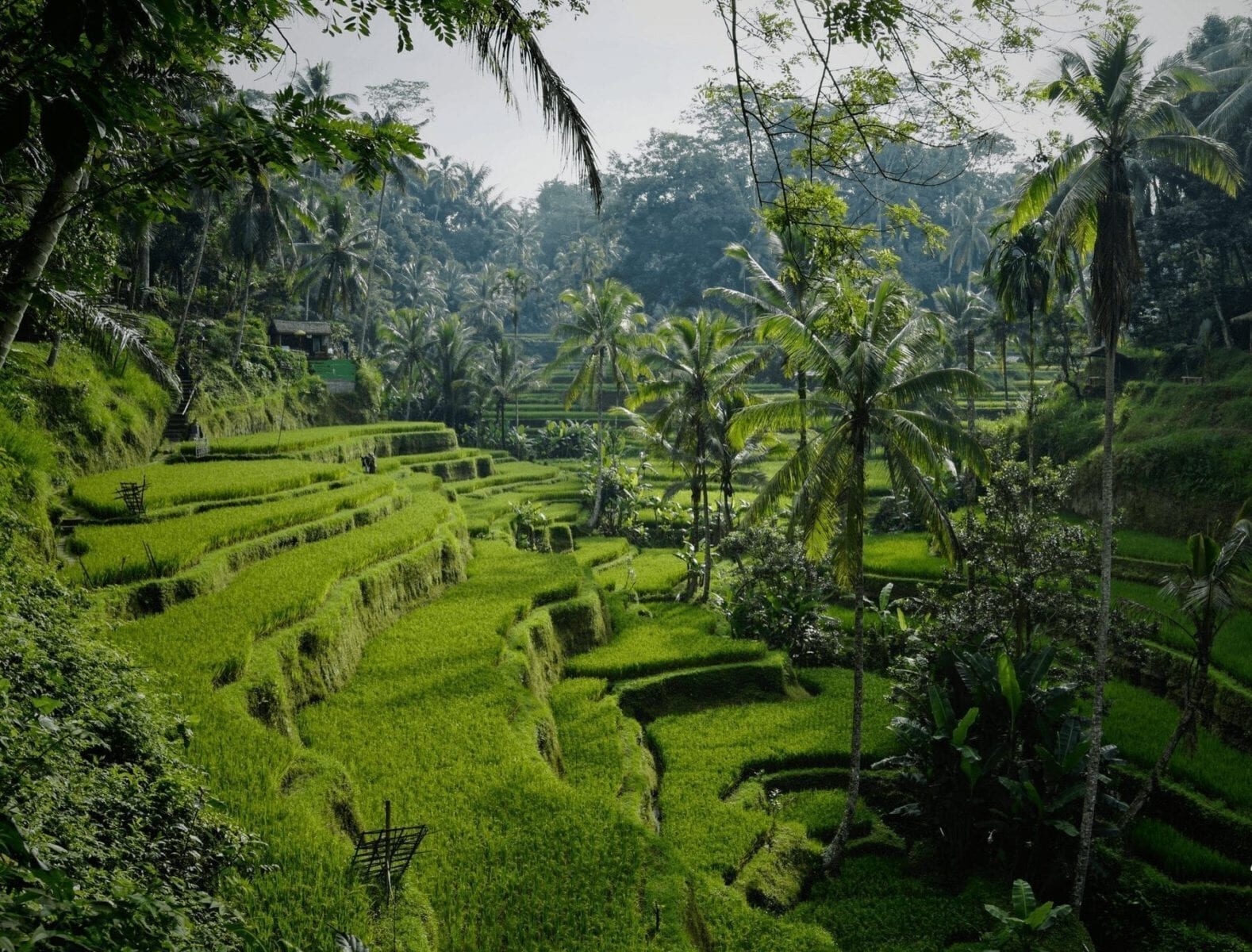 Family Vacation in Bali