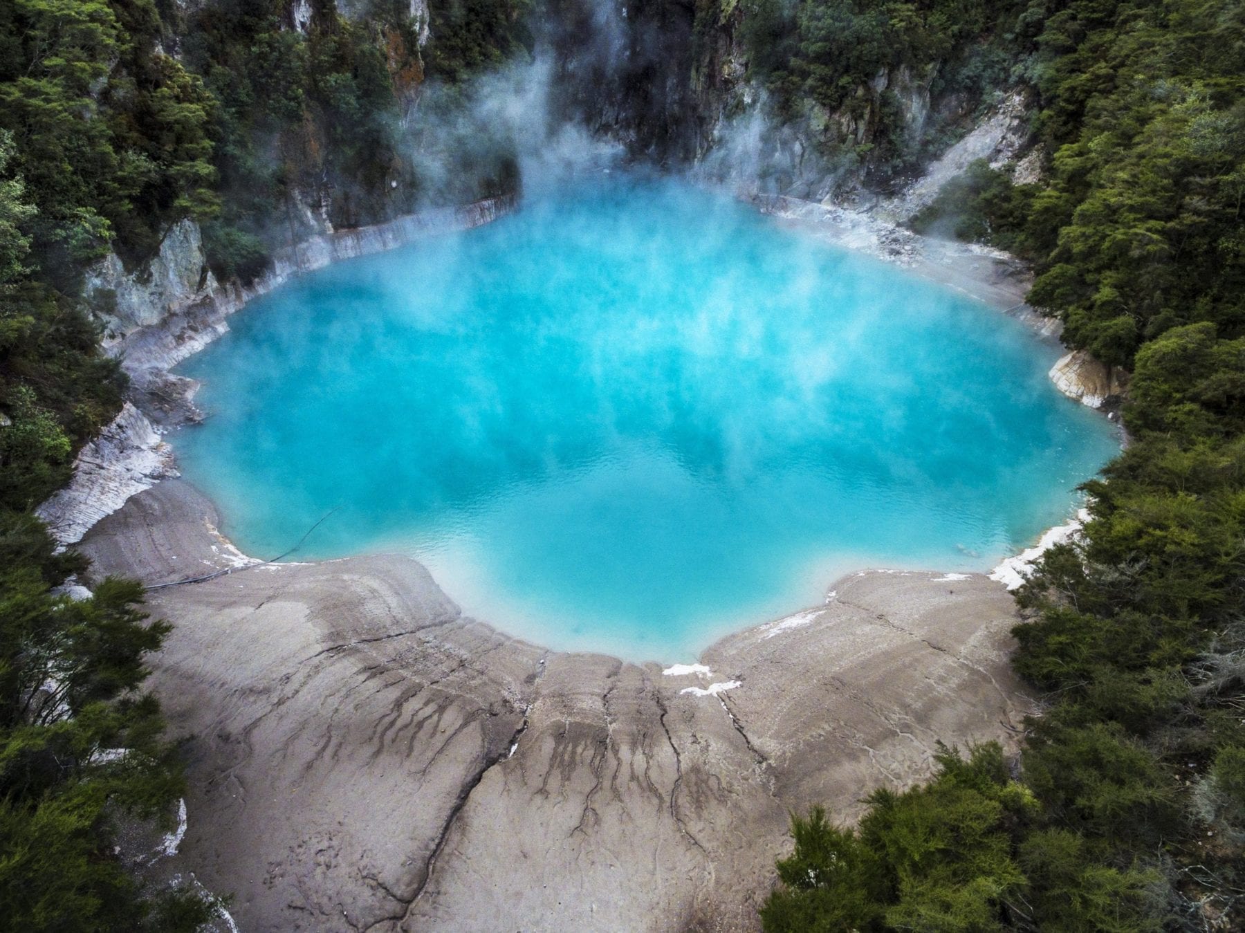 Family Vacation to New Zealand