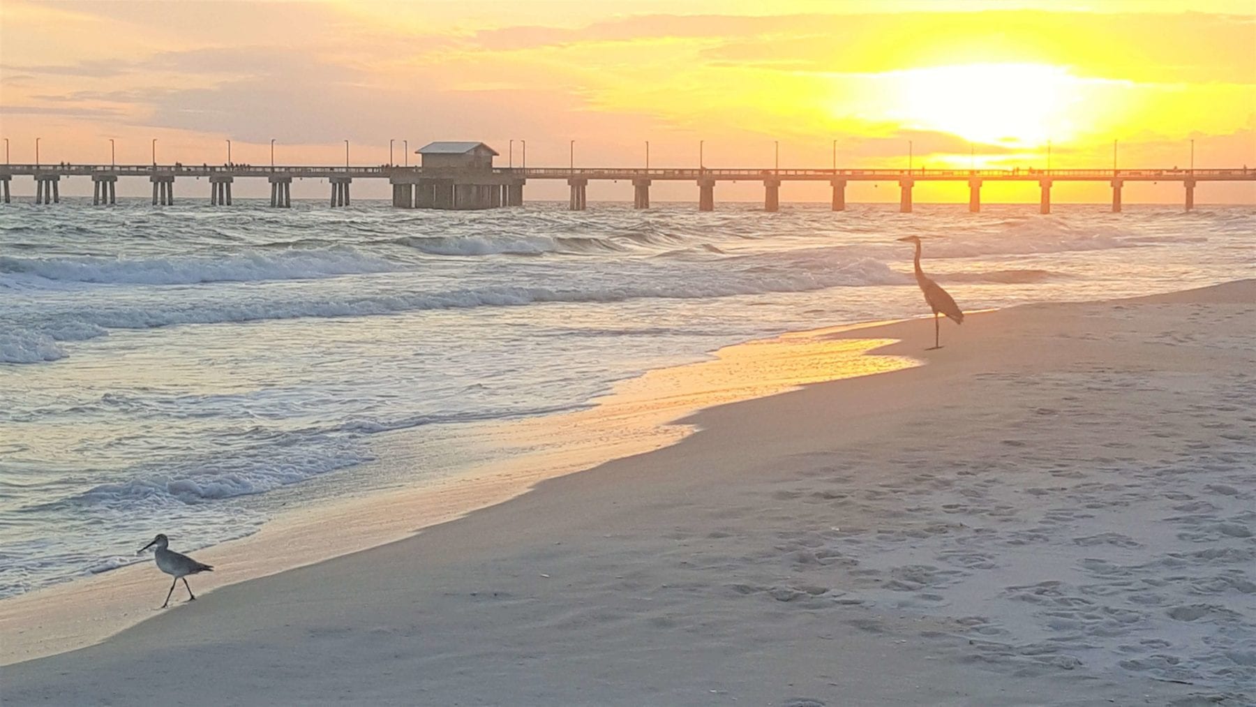 Family vacation to Gulf Shores Alabama