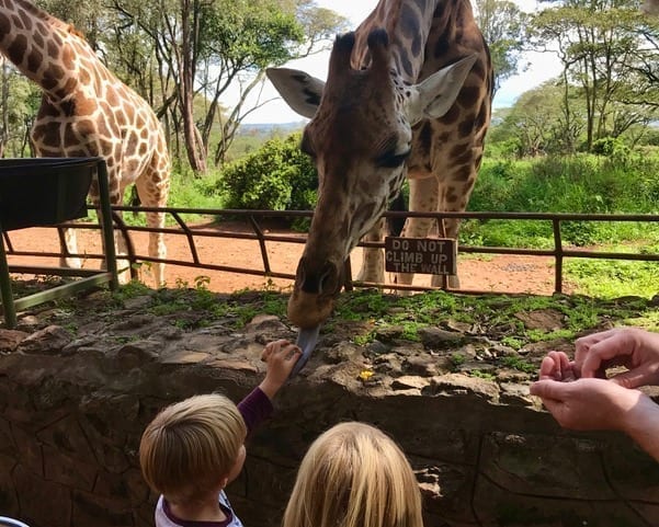 Kid Friendly Resort in Africa 