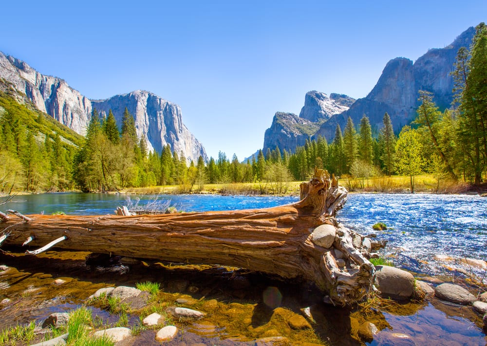 Best National Park Yosemite National Park