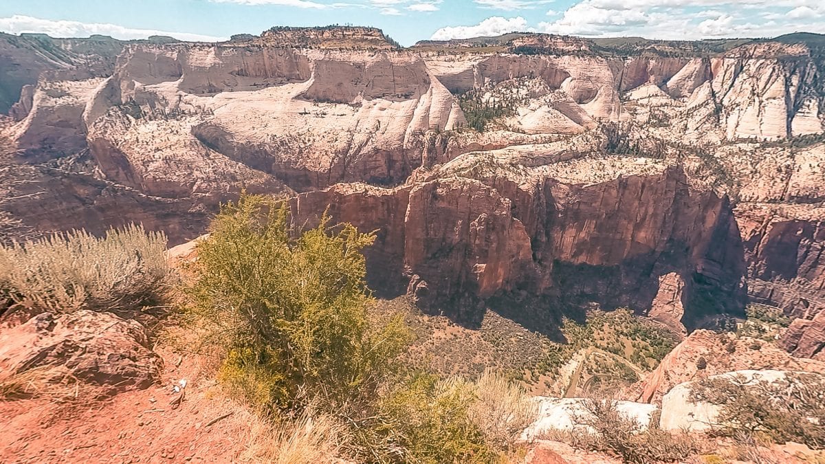 Zions National Park