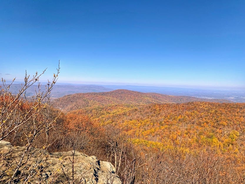 Best National park Shenandoah