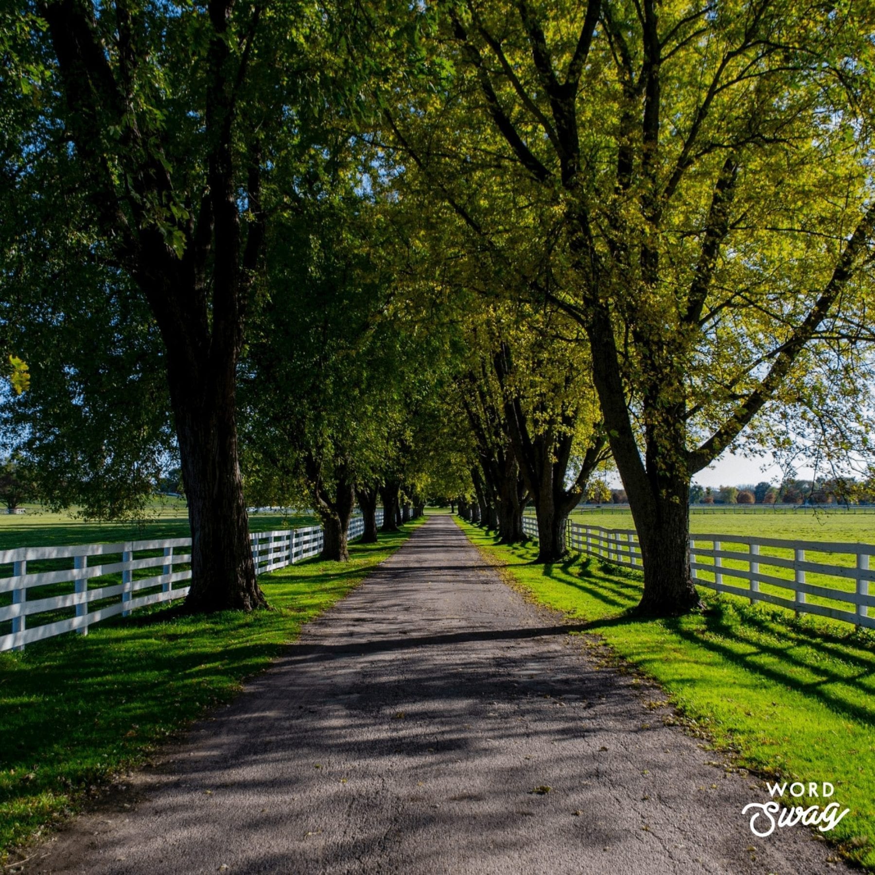 Midwest Road Trip