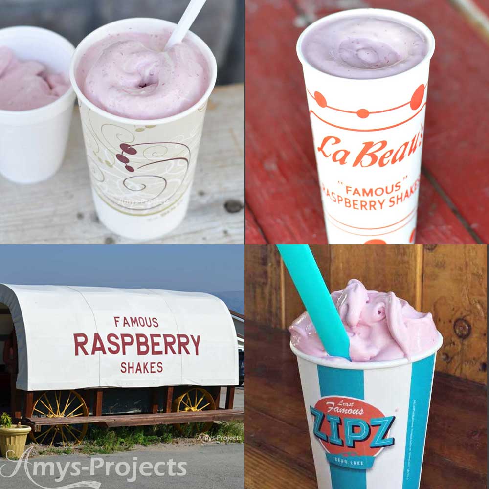 Raspberry Shake from Bear Lake