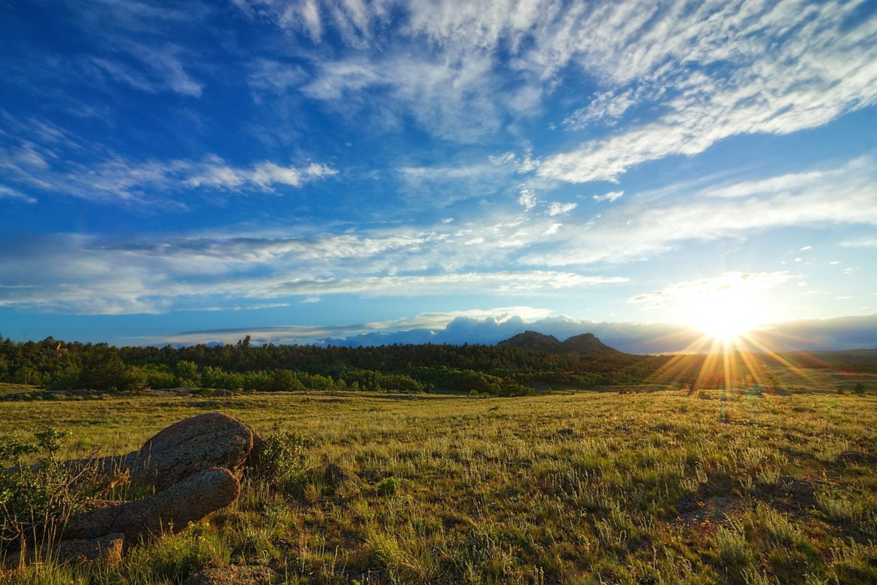 Summer Vacation in Wyoming