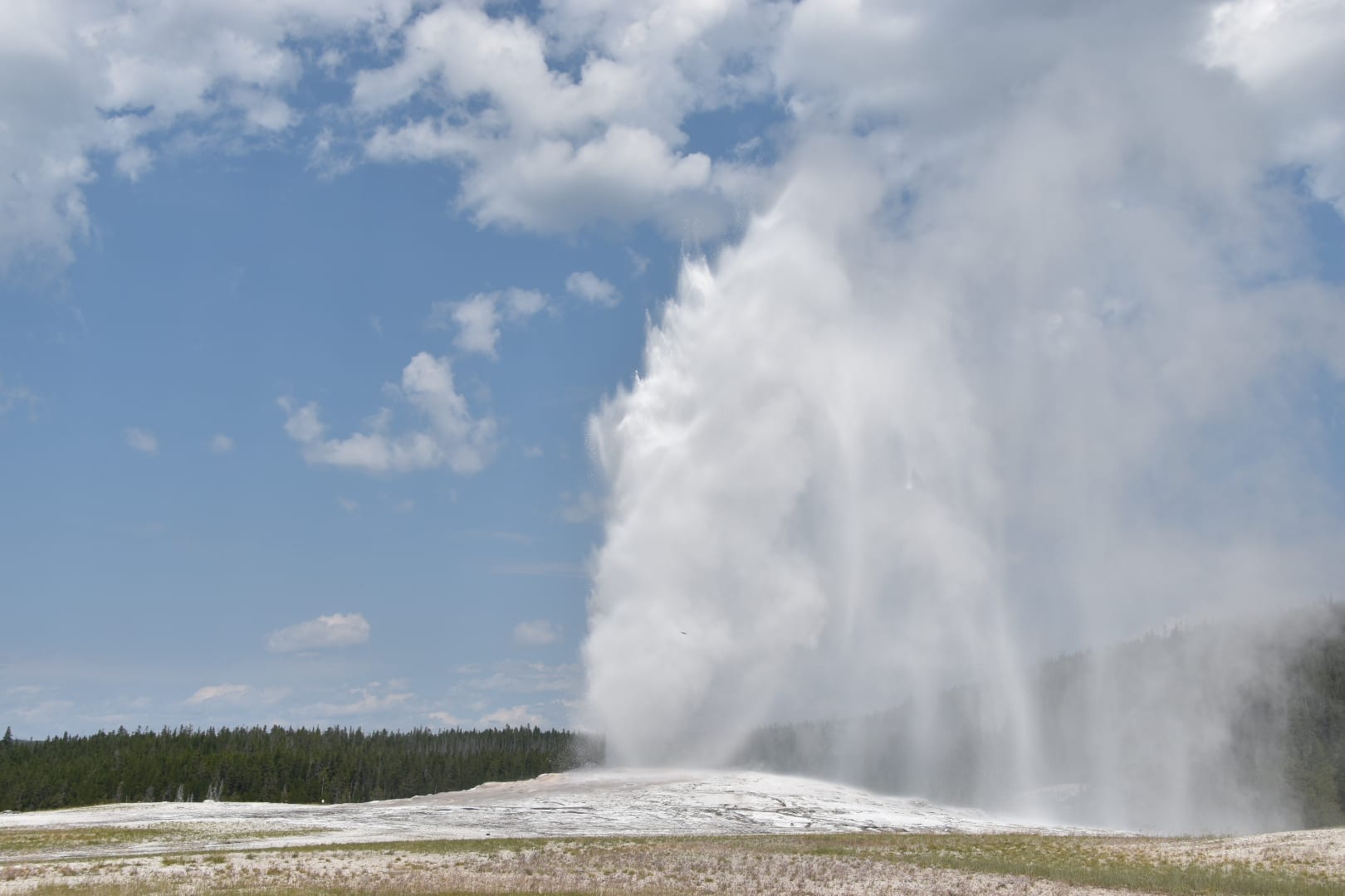 Best Things To Do In Yellowstone With Kids – Planning Away