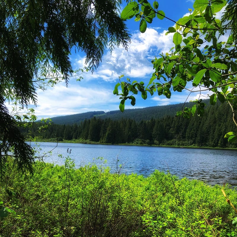 Summer Vacation in British Colombia