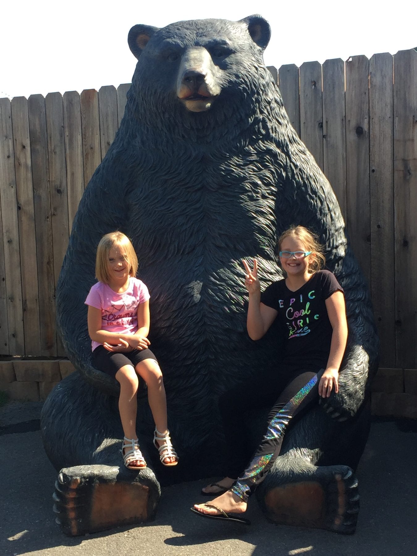 Yellowstone Bear World 