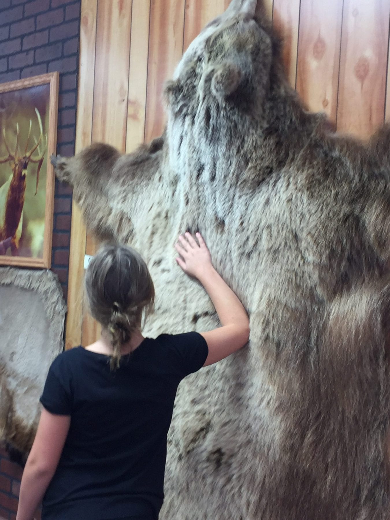 Yellowstone Bear World Museum