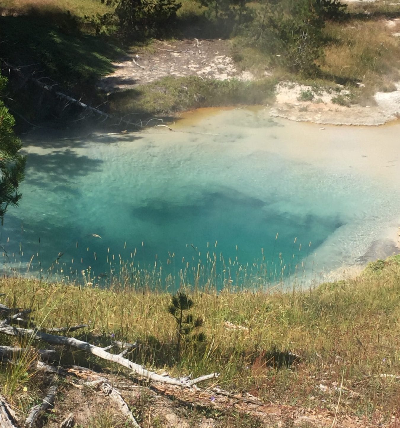 Yellowstone National Park