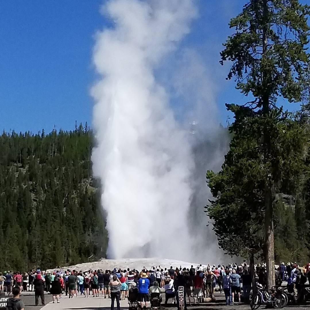 Old Faithful Yellowstone with kids