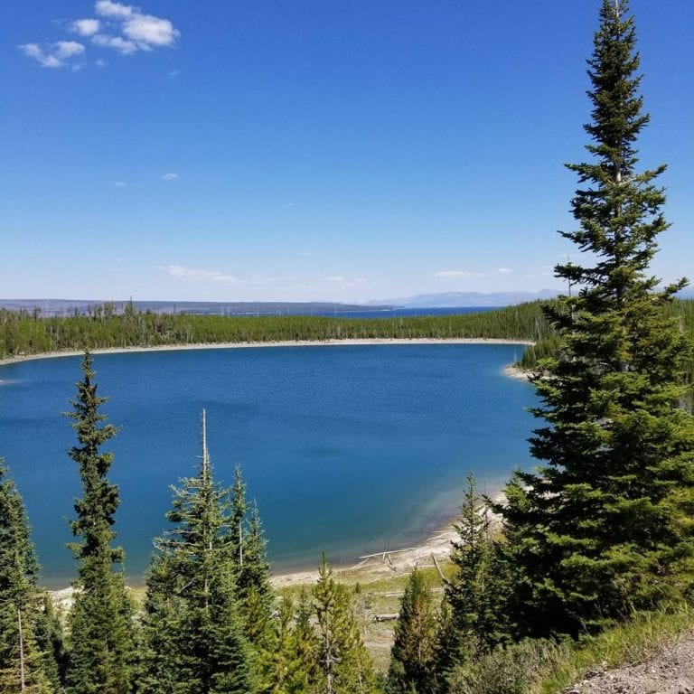 Yellowstone National Park with Kids