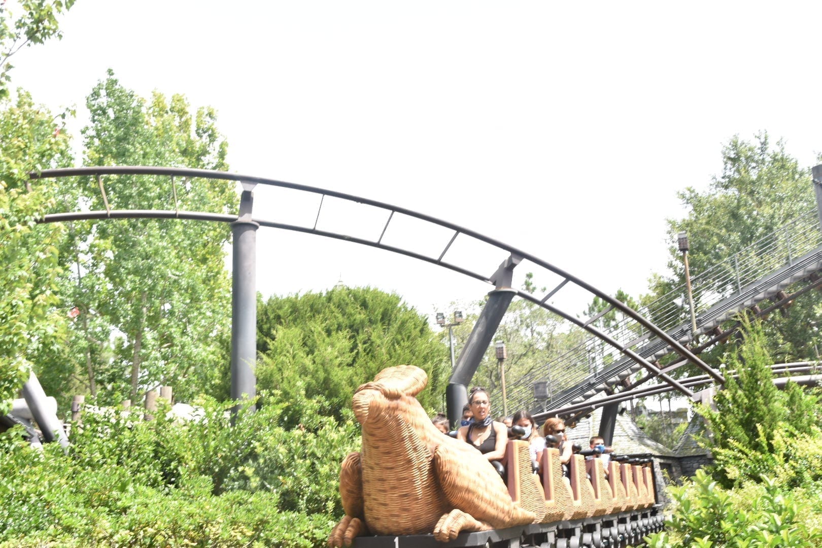 Flight of the Hippogriff