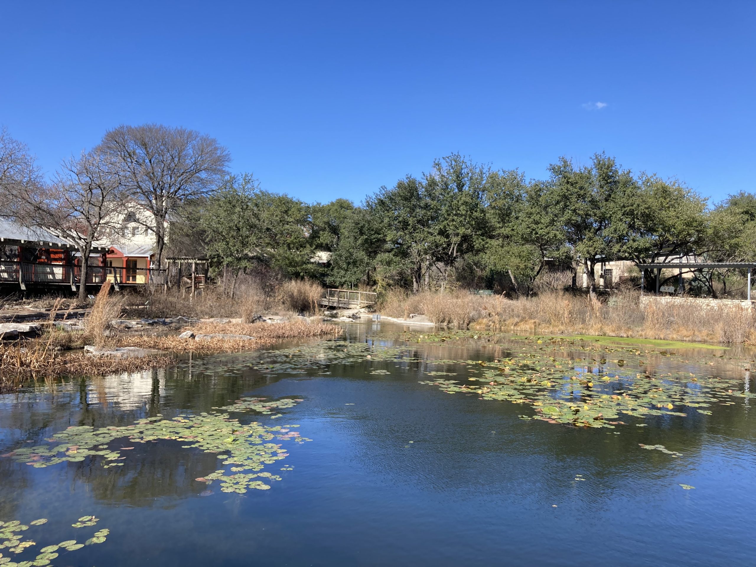 Things to do in Austin Texas with kids - Austin Nature Center