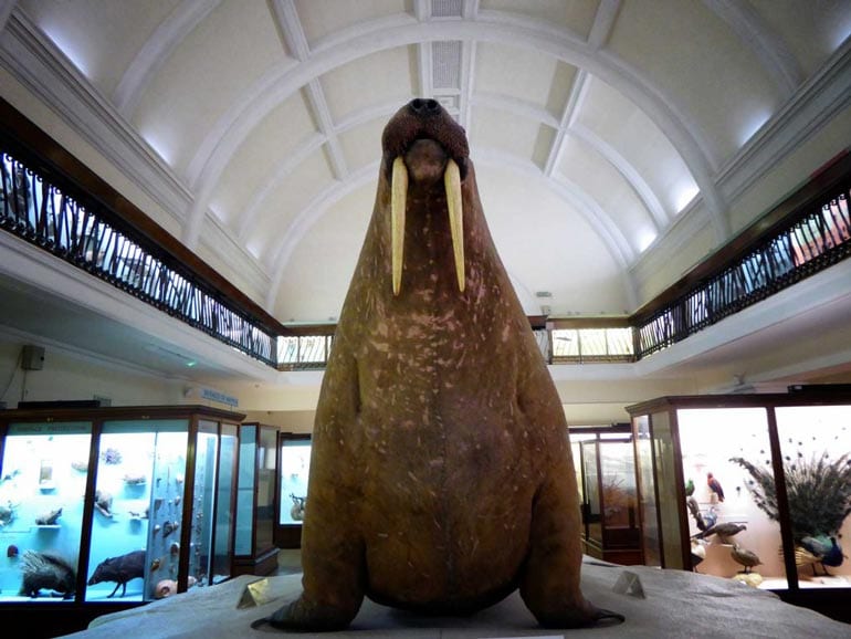 Horniman Museum London