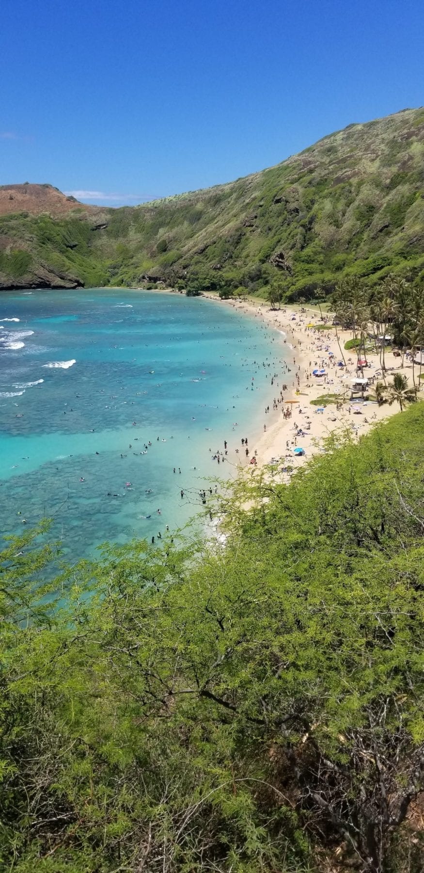 Proper use of Reef Safe Sunscreen - Hanauma Bay State Park