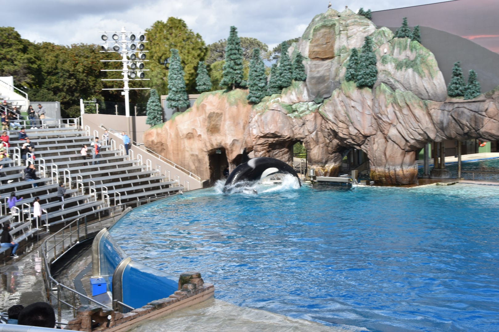 Sea World San Diego Shows