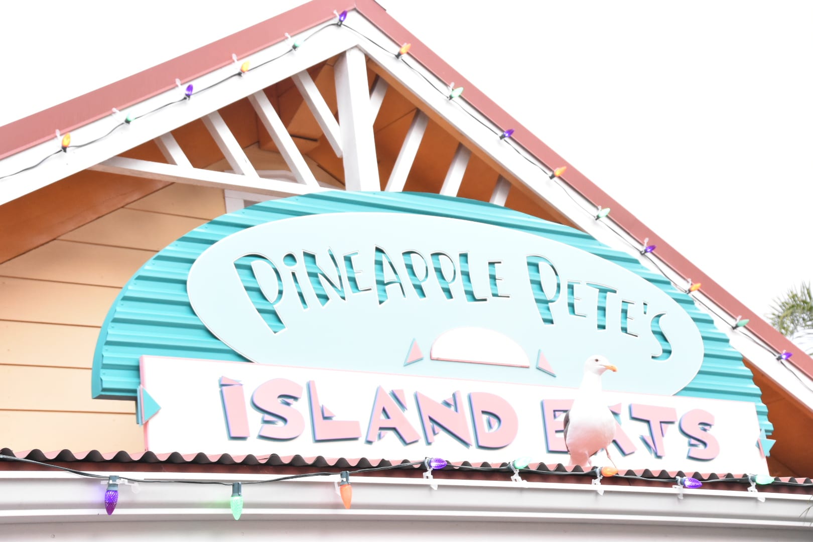 Pineapple Petes Sea World