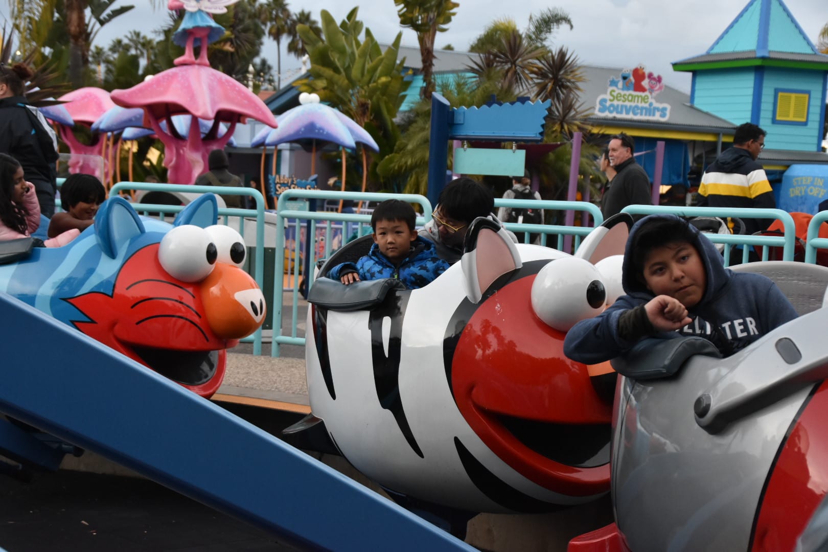 flying fish at Seaworld San Diego