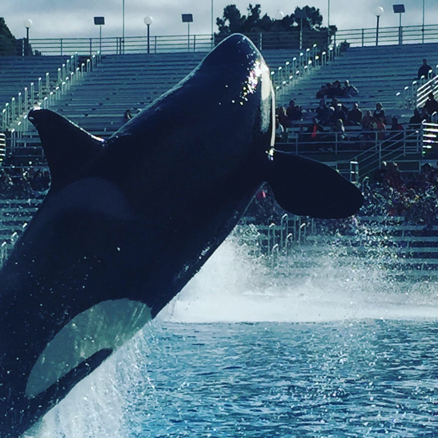 Sea World San Diego