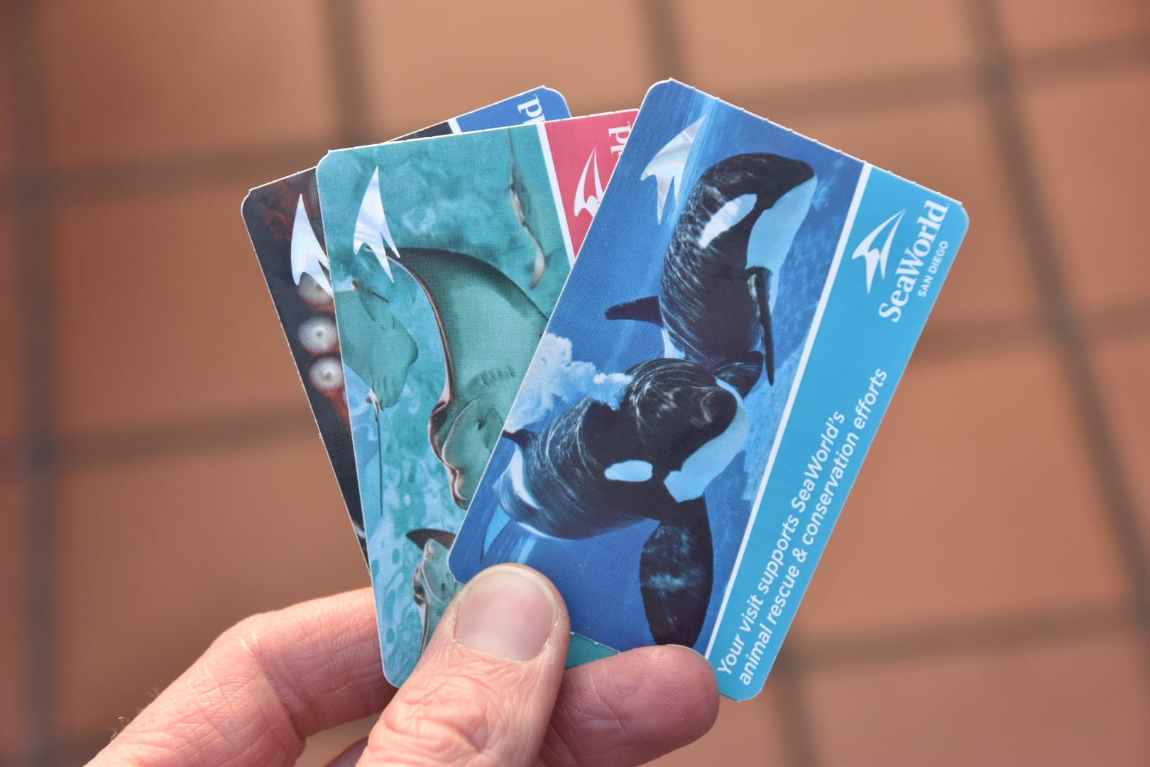 Sea World San Diego Tickets