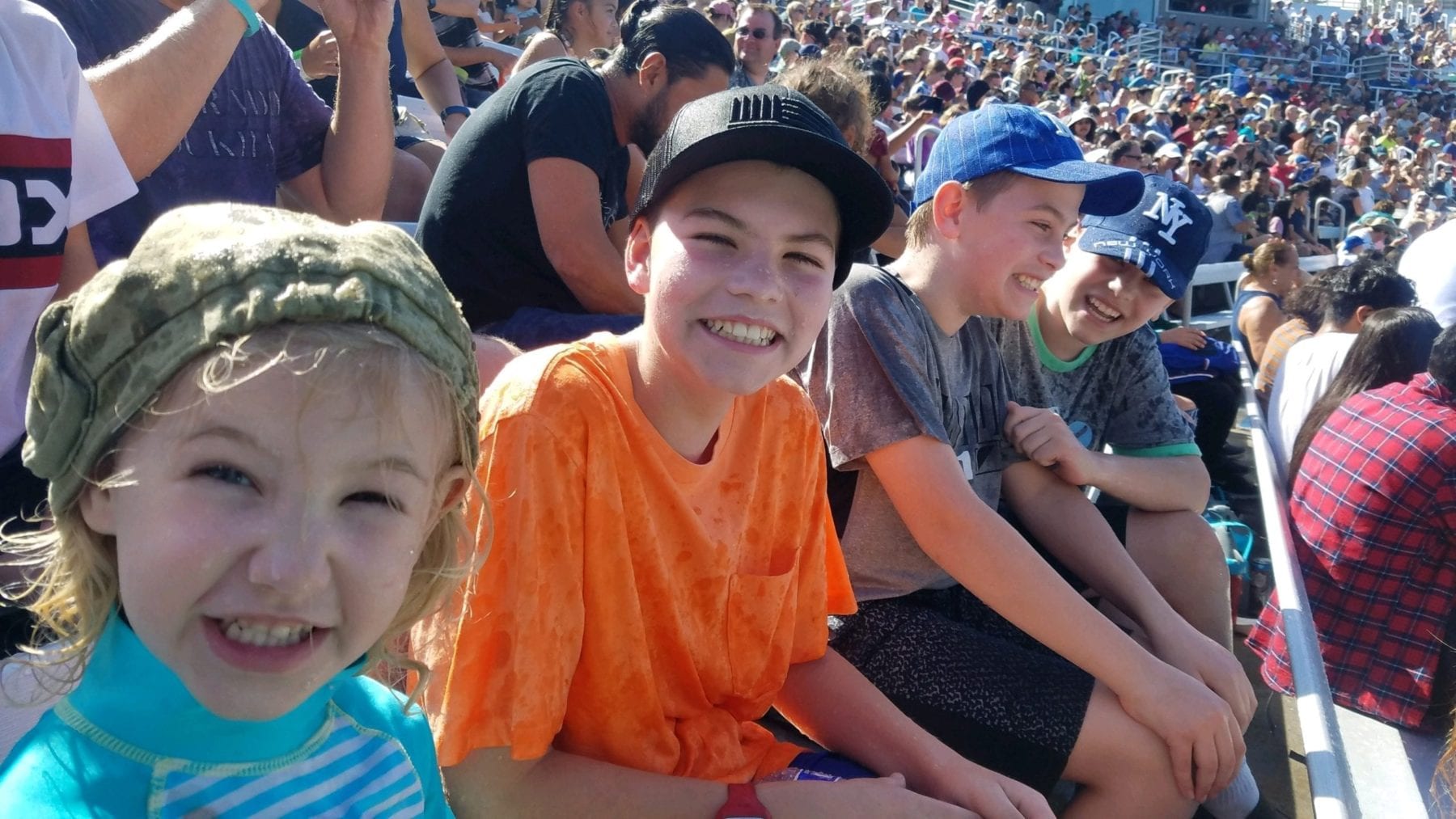 Sea World San Diego Shows