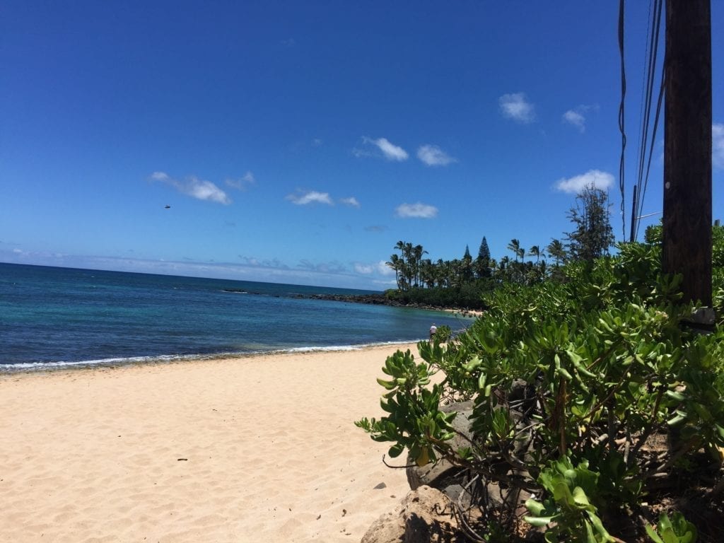 Beach in Oahu Hawaii