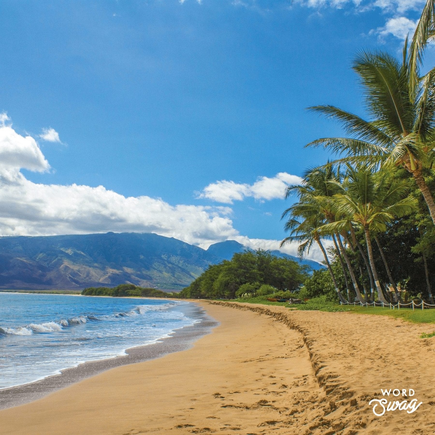 One Day in Maui