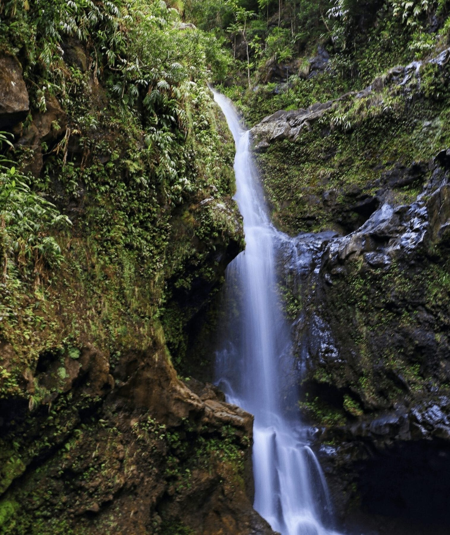 Water fall in Hawaii