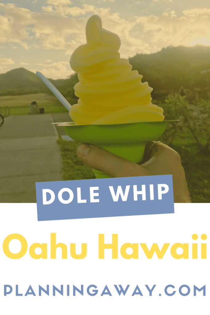 Dole Pineapple Plantation Dole Whip In Hawaii Pin for Pinterest