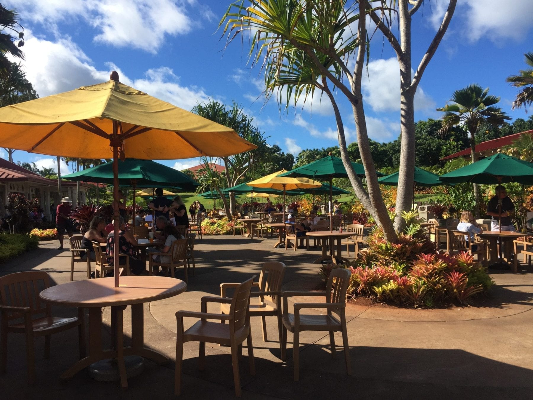 Dole Pineapple Plantation seating area