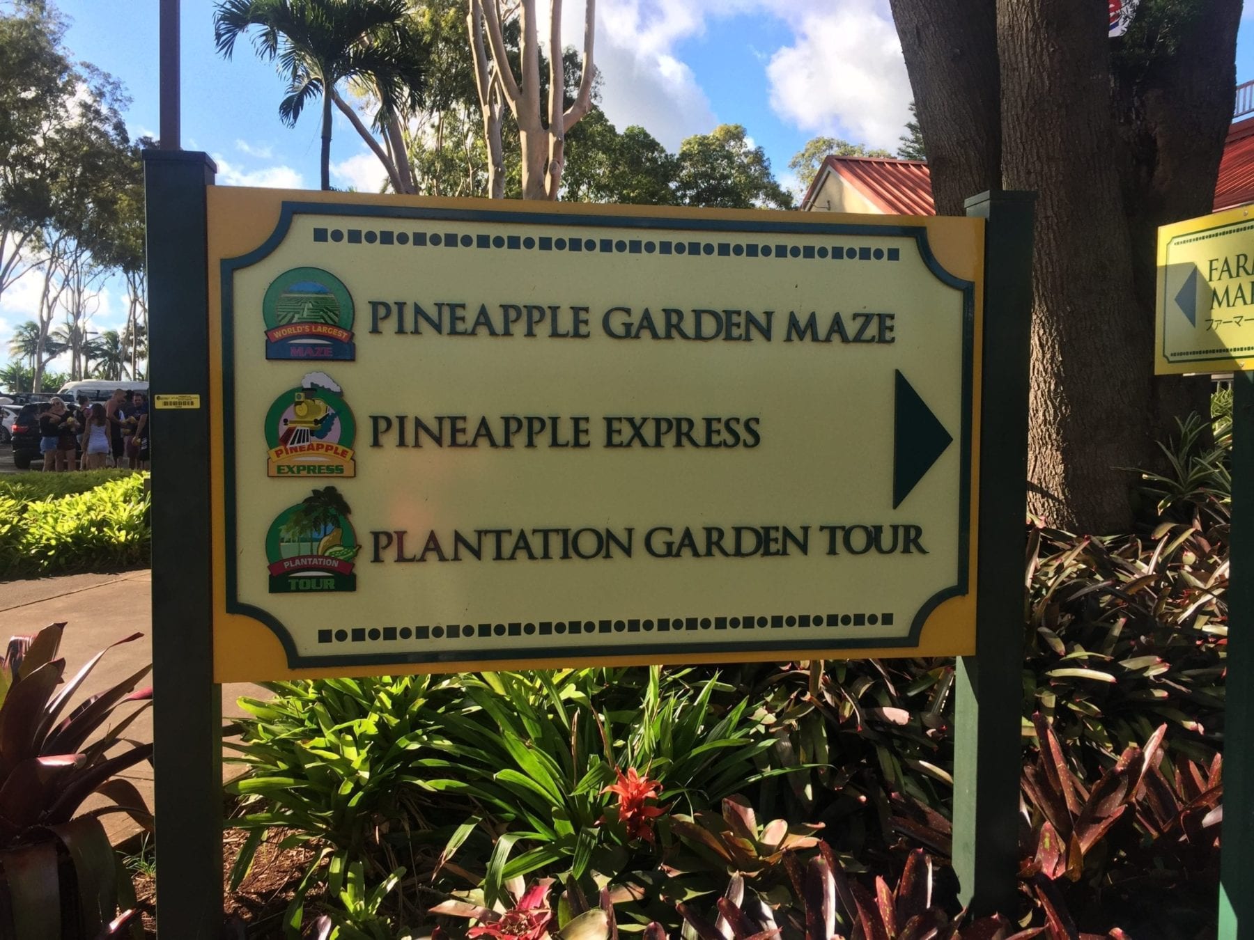 Dole Pineapple Plantation 