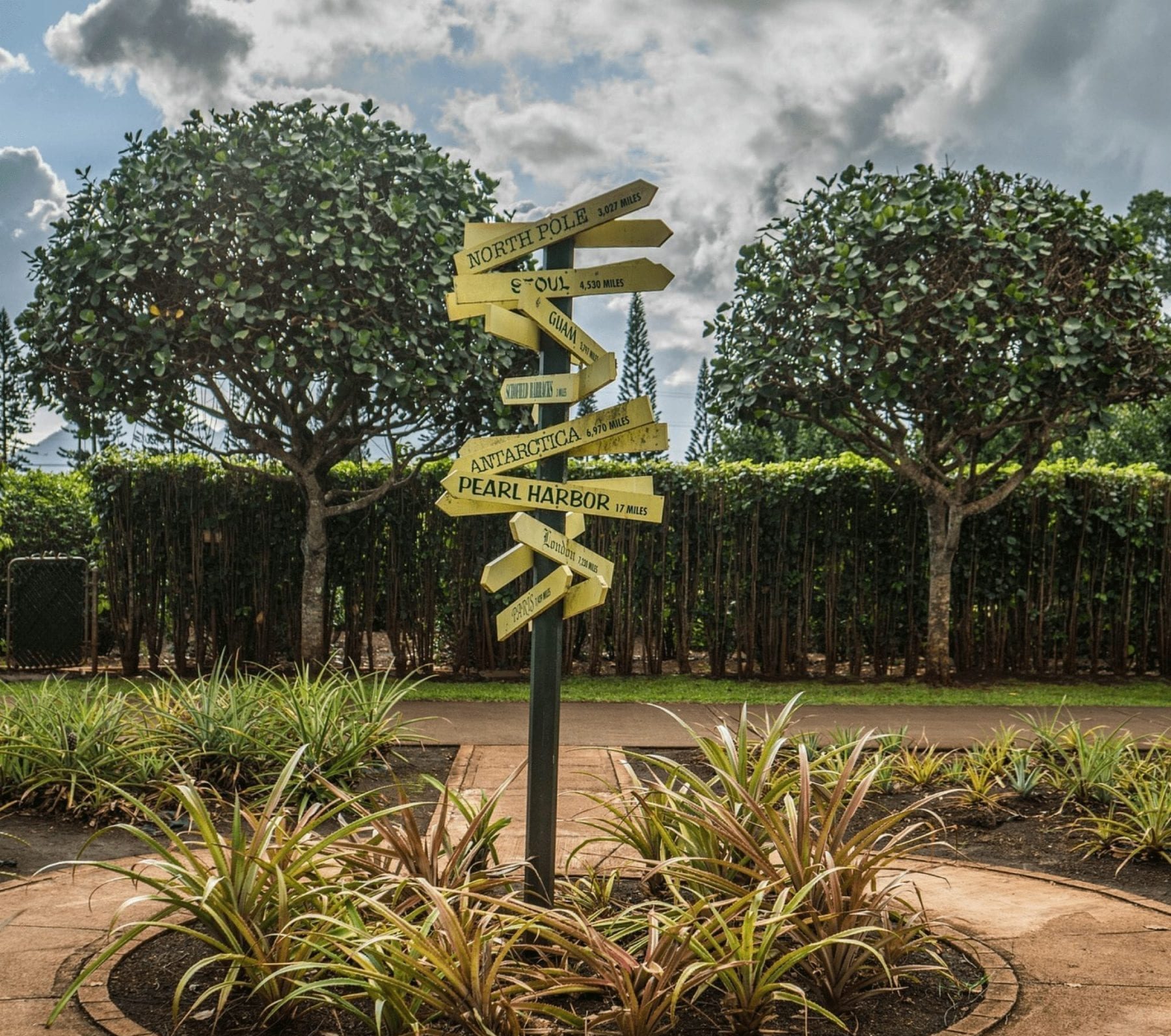 Dole Pineapple Plantation