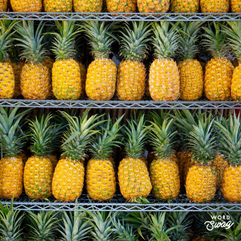 Dole Pineapple Plantation - Dole Whip in Hawaii