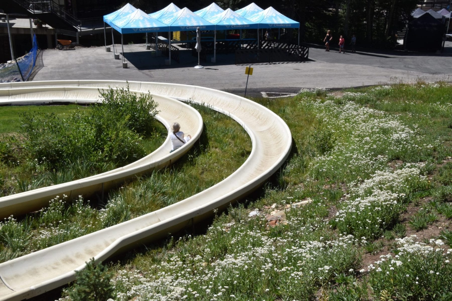 Alpine Slide at Snowbird