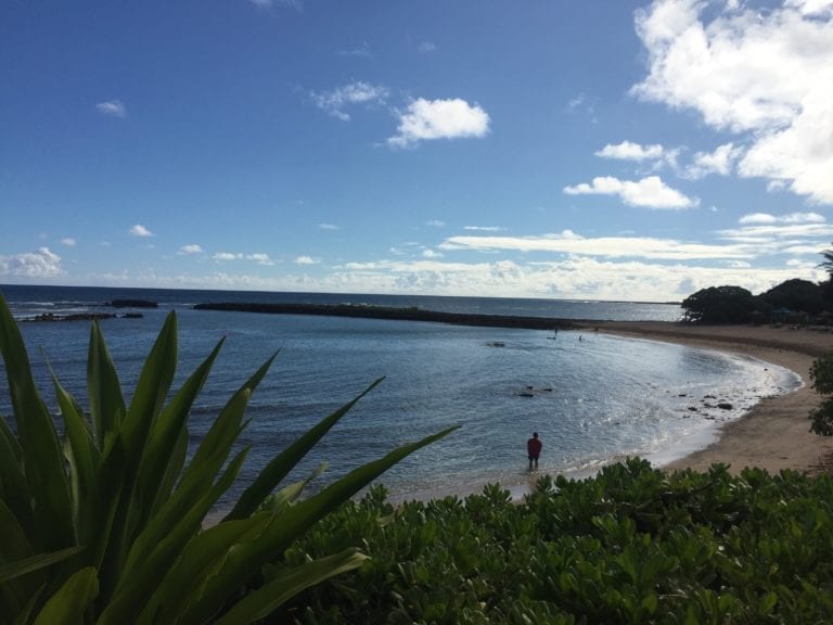 North Shore Oahu Hawaii