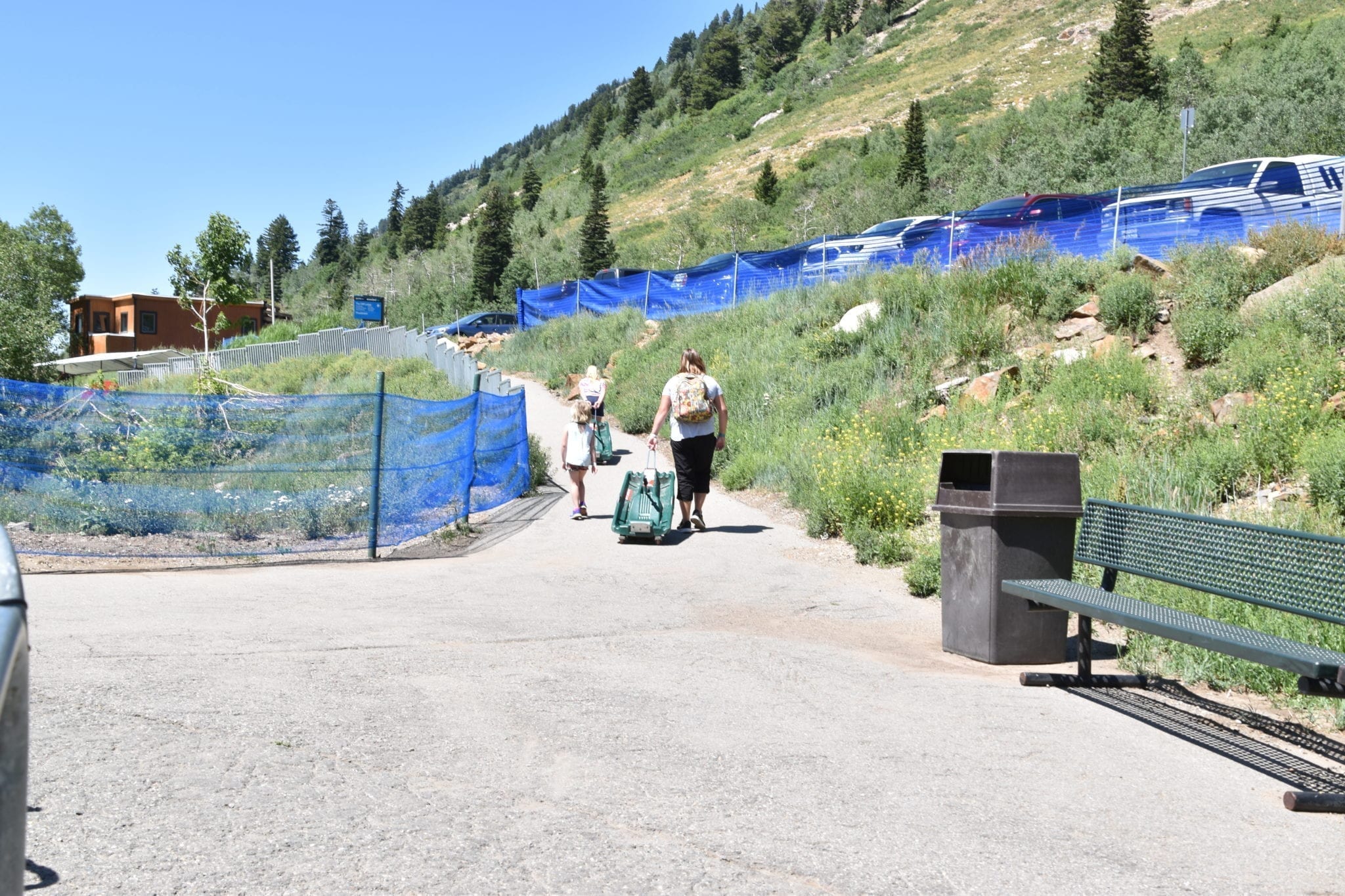 Snowbird In The Summer (The Best 10 Summer Activities For Kids At ...