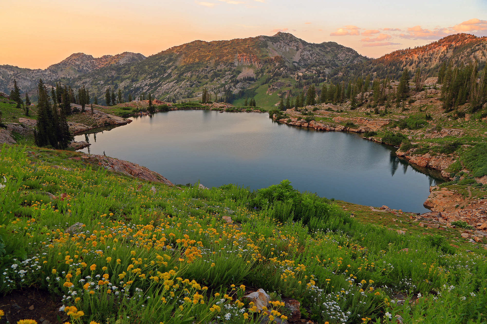 Cecret Lake Trail kid friendly hikes in Utah