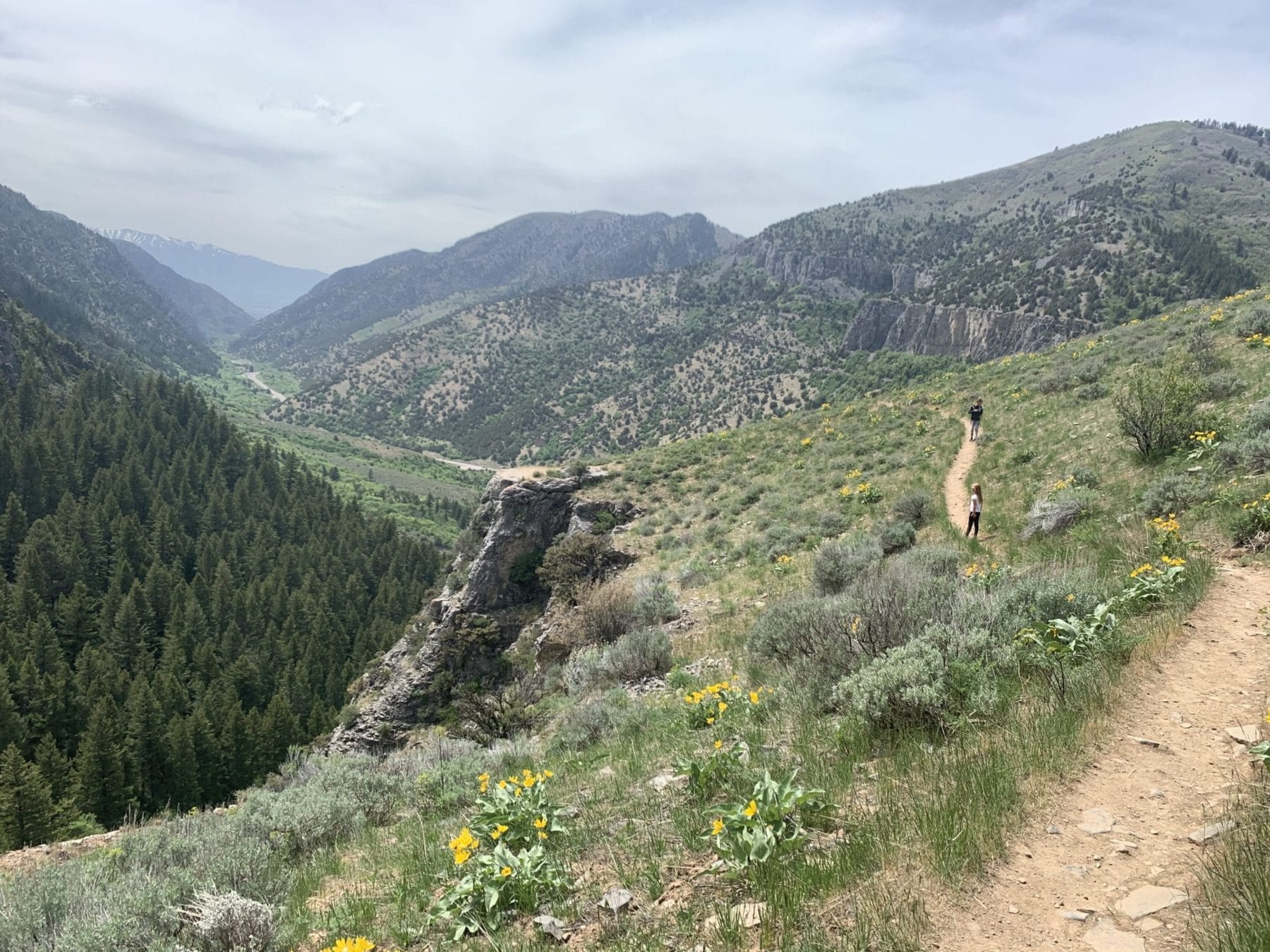 Crimson Trail Logan Canyon 