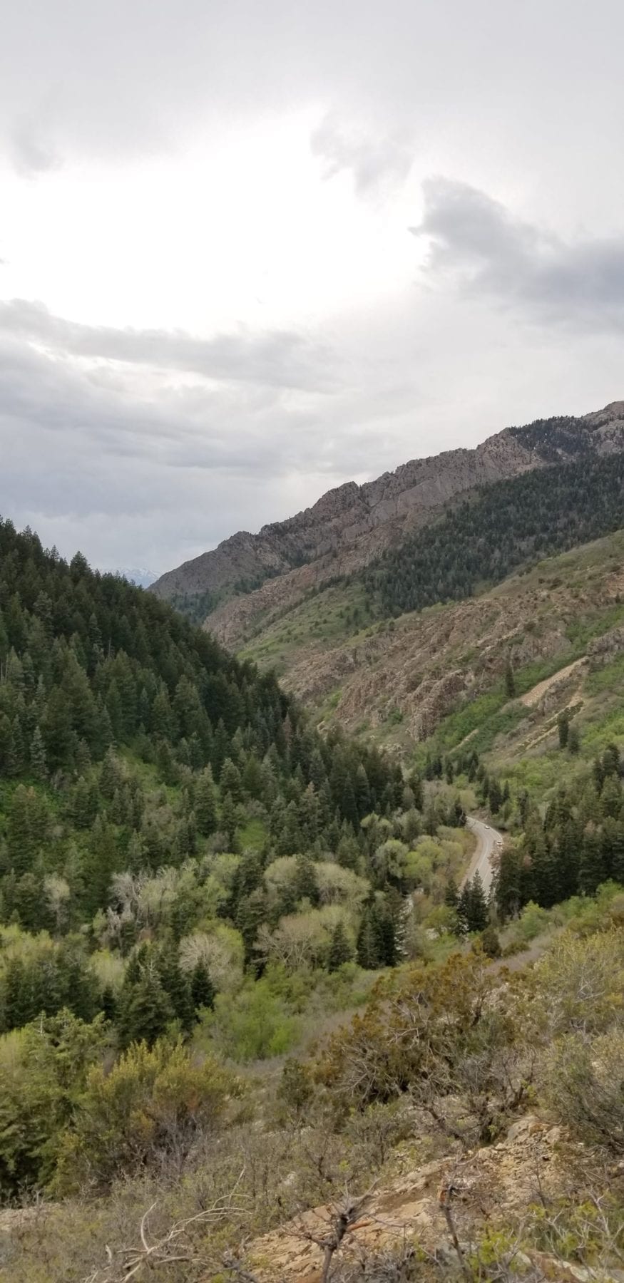 Little Cottonwood Hikes