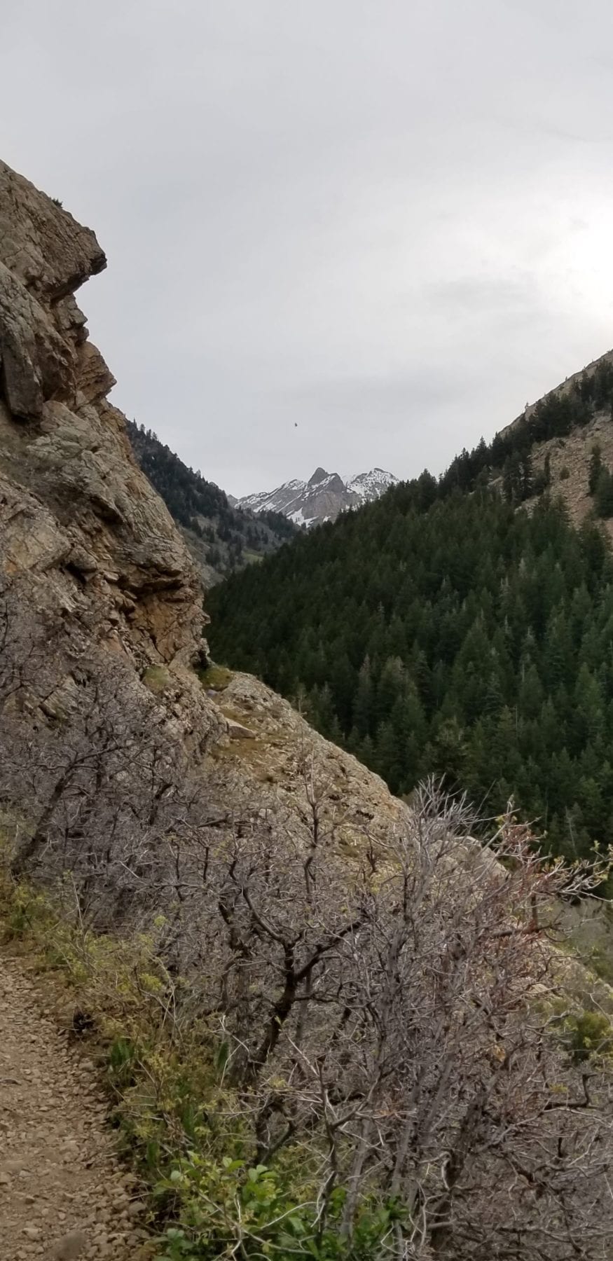 Big Cottonwood Canyon hikes