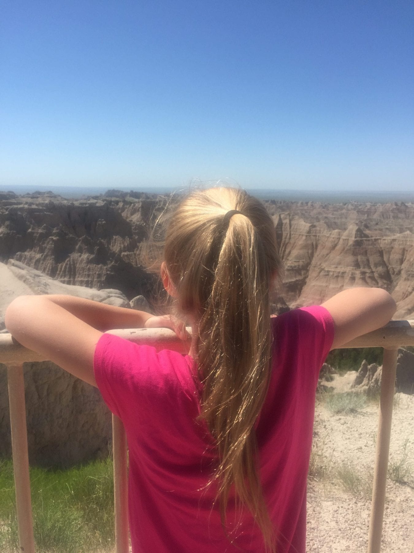 Pinnacle Overview at Badlands