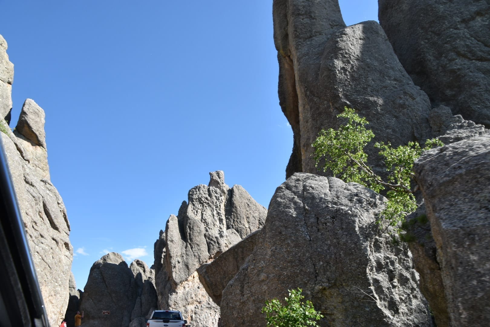 Custer State Park