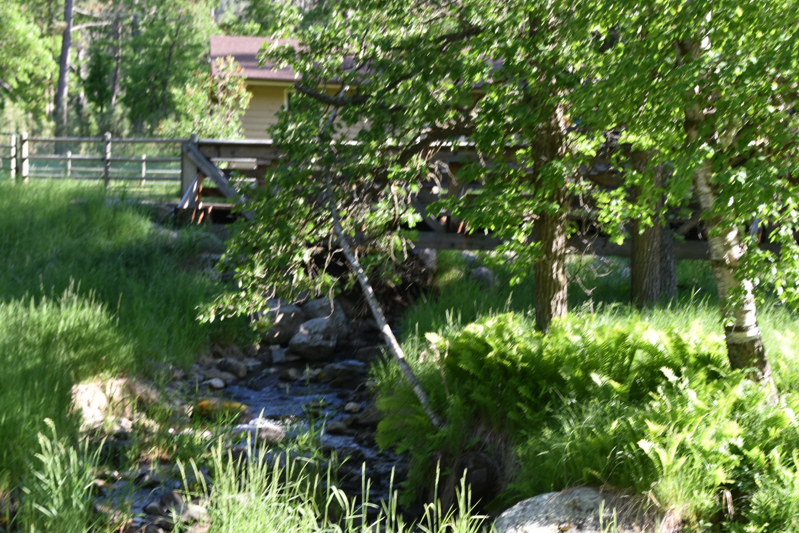 Custer State Park