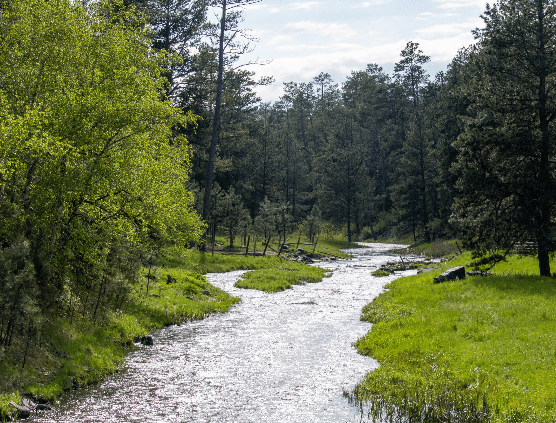 Custer State Park