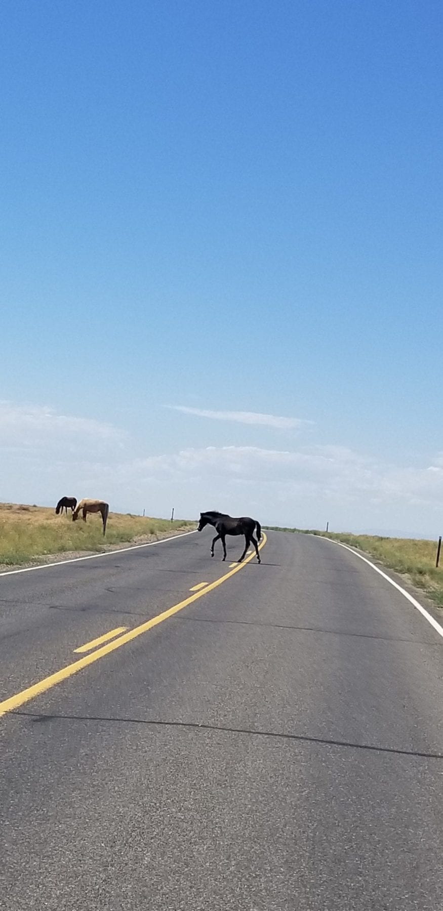 Scenic Drives Near Vernal